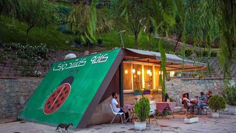 تصویر گالری