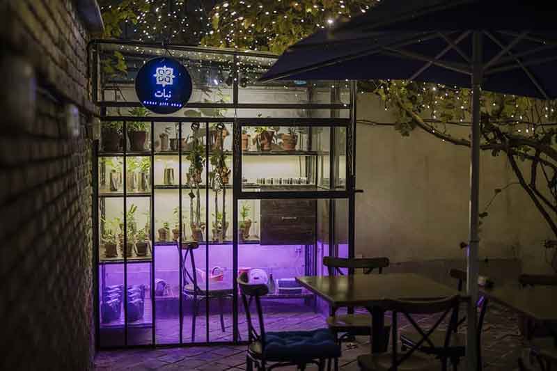 تصویر گالری