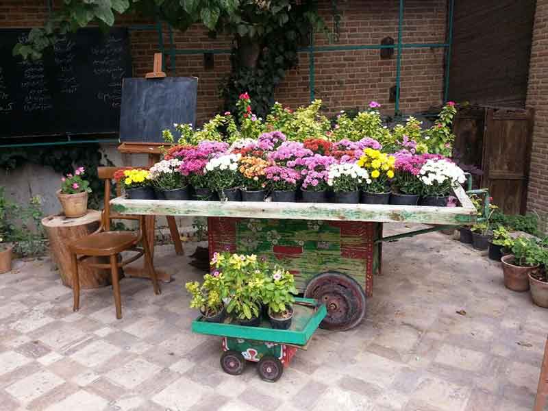 تصویر گالری