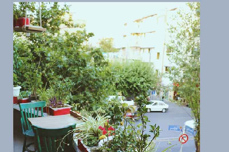 تصویر گالری