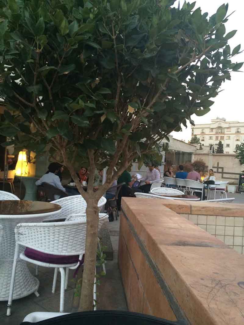 تصویر گالری