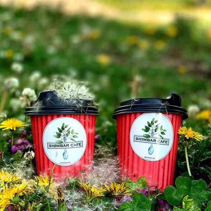 تصویر گالری