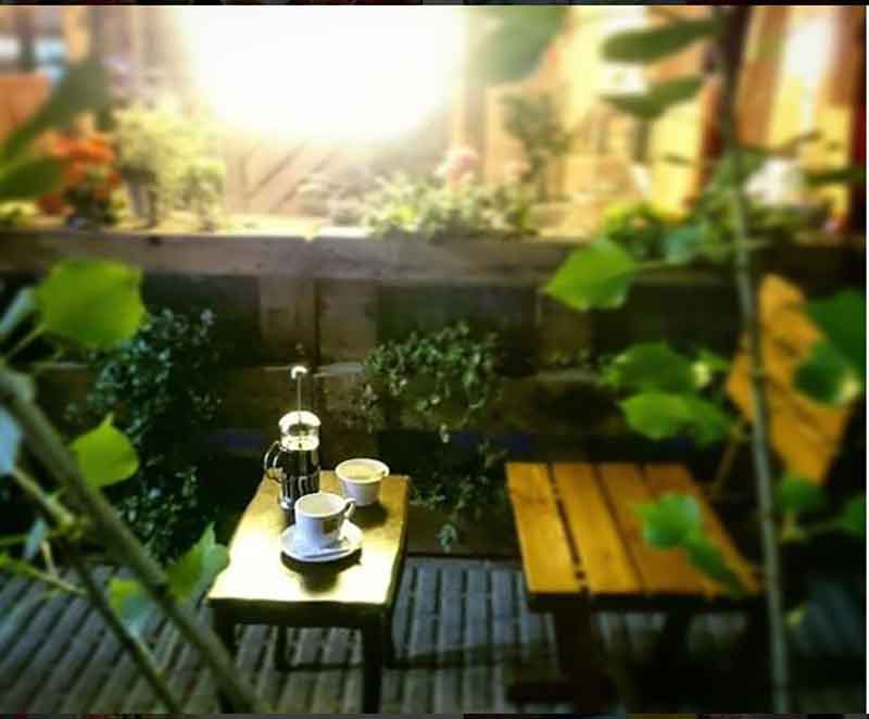 تصویر گالری
